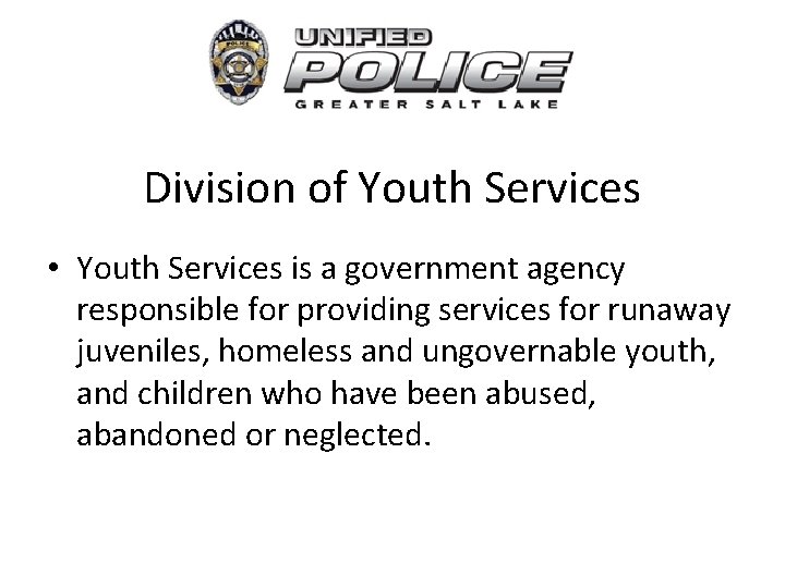 Division of Youth Services • Youth Services is a government agency responsible for providing