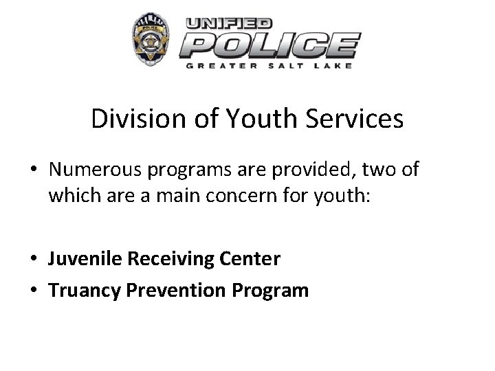 Division of Youth Services • Numerous programs are provided, two of which are a