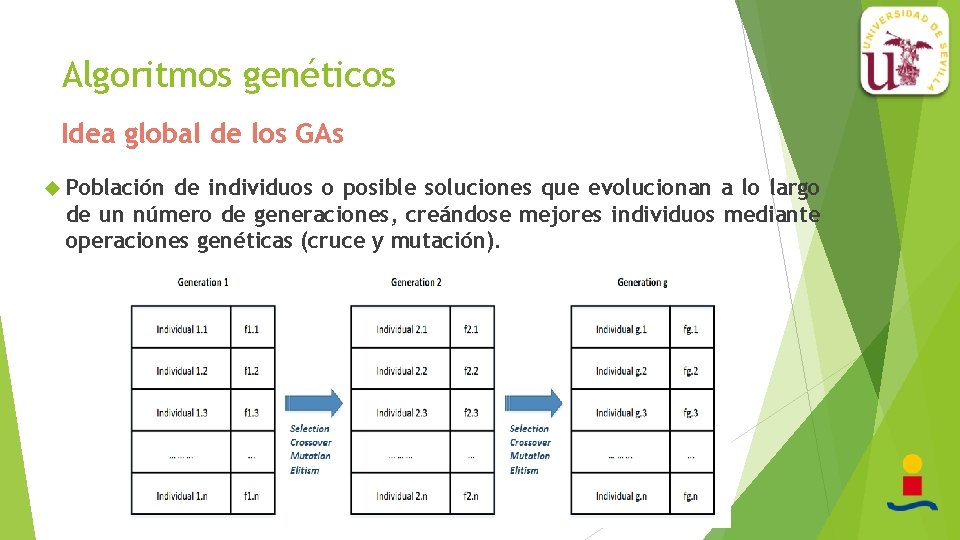 Algoritmos genéticos Idea global de los GAs Población de individuos o posible soluciones que