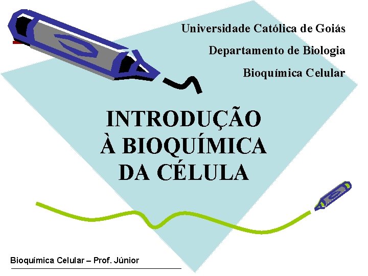 Universidade Católica de Goiás Departamento de Biologia Bioquímica Celular INTRODUÇÃO À BIOQUÍMICA DA CÉLULA