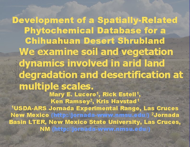 Development of a Spatially-Related Phytochemical Database for a Chihuahuan Desert Shrubland We examine soil