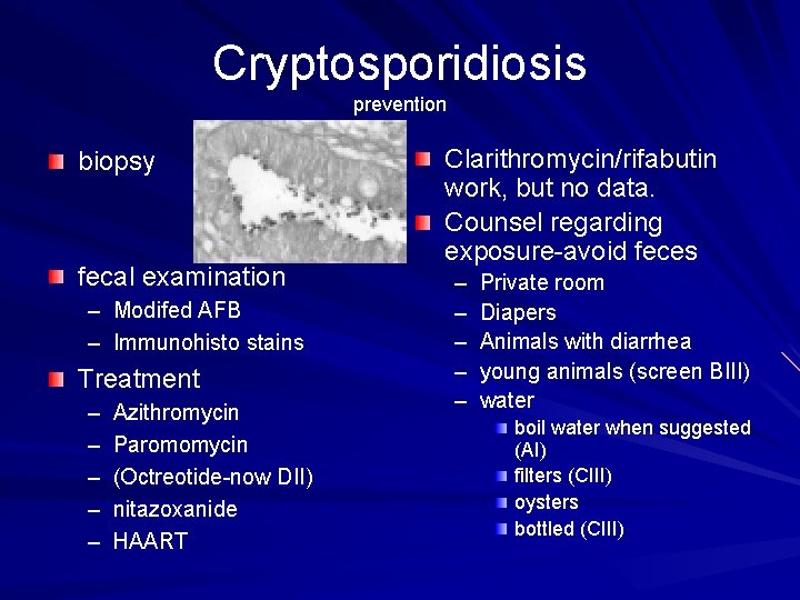 Cryptosporidiosis prevention biopsy fecal examination – Modifed AFB – Immunohisto stains Treatment – –