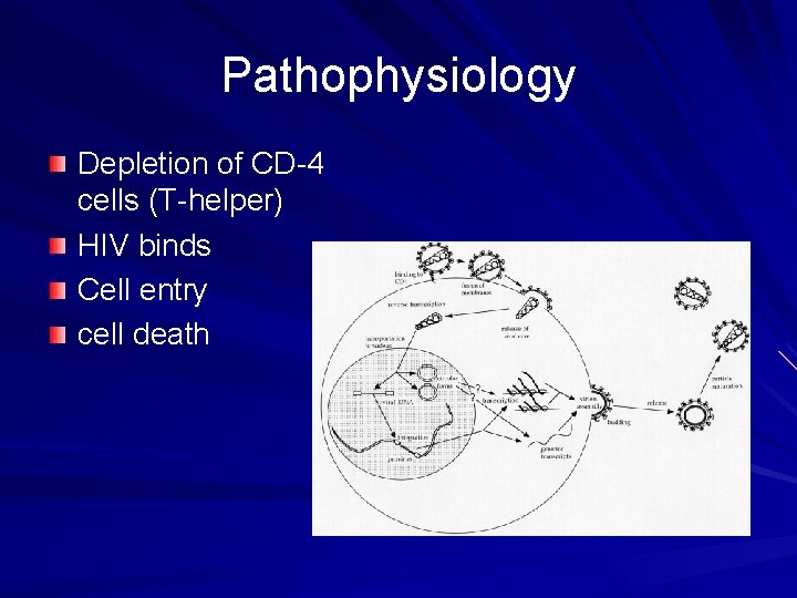 Pathophysiology Depletion of CD-4 cells (T-helper) HIV binds Cell entry cell death 