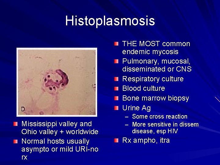 Histoplasmosis THE MOST common endemic mycosis Pulmonary, mucosal, disseminated or CNS Respiratory culture Blood