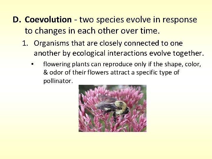 D. Coevolution - two species evolve in response to changes in each other over