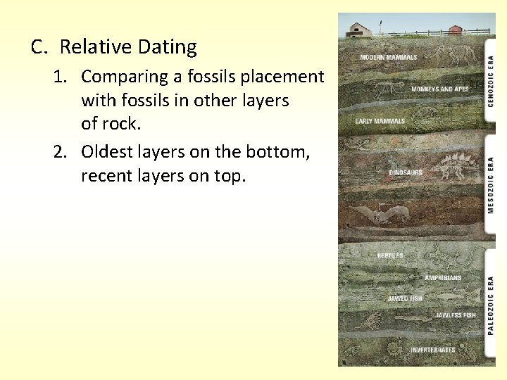 C. Relative Dating 1. Comparing a fossils placement with fossils in other layers of