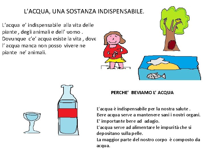 L’ACQUA, UNA SOSTANZA INDISPENSABILE. L’acqua e’ indispensabile alla vita delle piante , degli animali