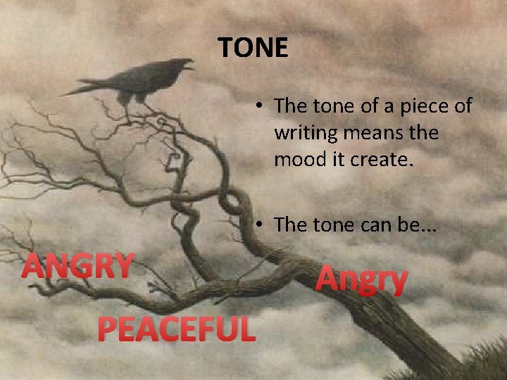 TONE • The tone of a piece of writing means the mood it create.