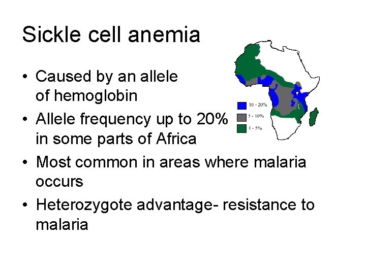 Sickle cell anemia • Caused by an allele of hemoglobin • Allele frequency up