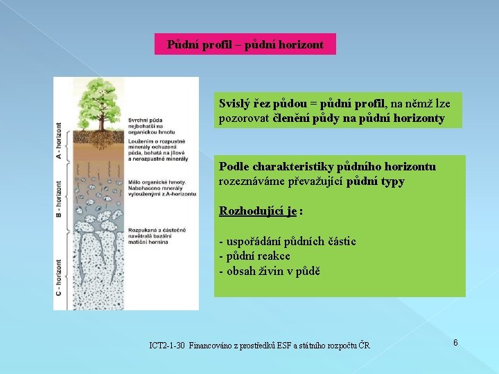 Půdní profil – půdní horizont Svislý řez půdou = půdní profil, na němž lze