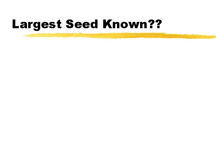 Largest Seed Known? ? 