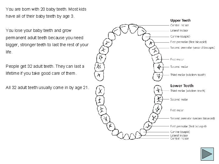 You are born with 20 baby teeth. Most kids have all of their baby