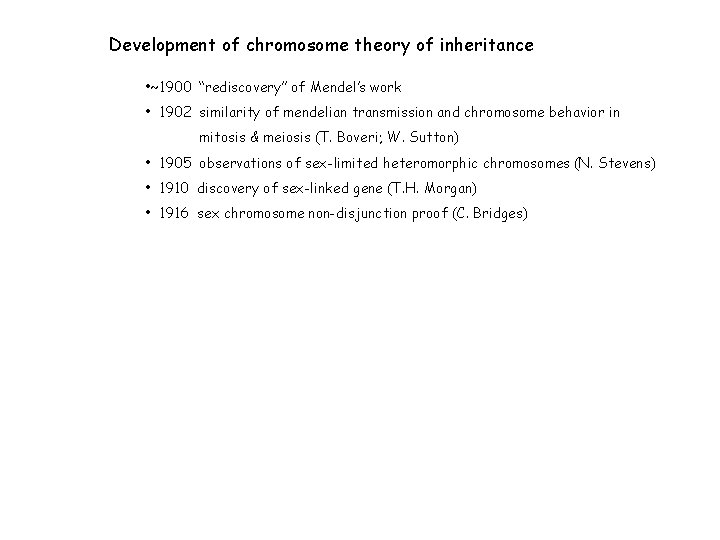 Development of chromosome theory of inheritance • ~1900 “rediscovery” of Mendel’s work • 1902