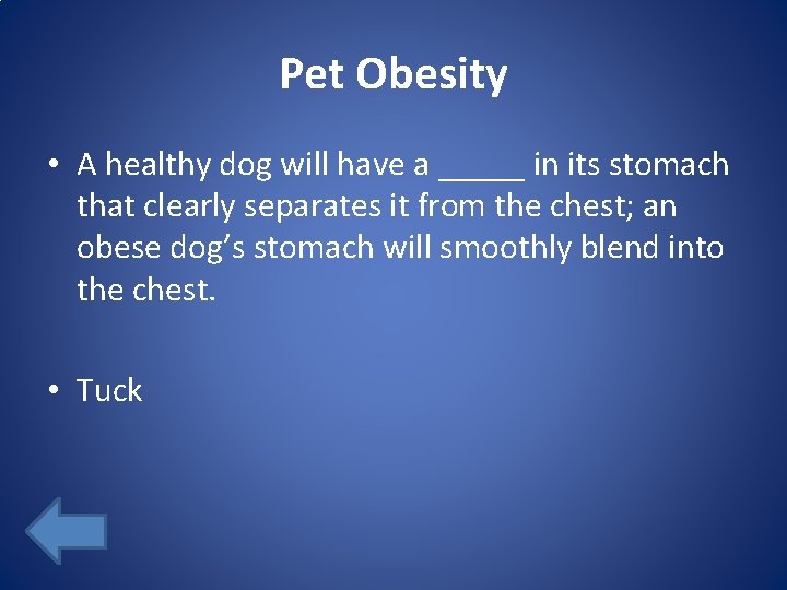 Pet Obesity • A healthy dog will have a _____ in its stomach that