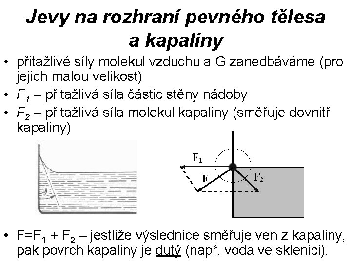 Jevy na rozhraní pevného tělesa a kapaliny • přitažlivé síly molekul vzduchu a G