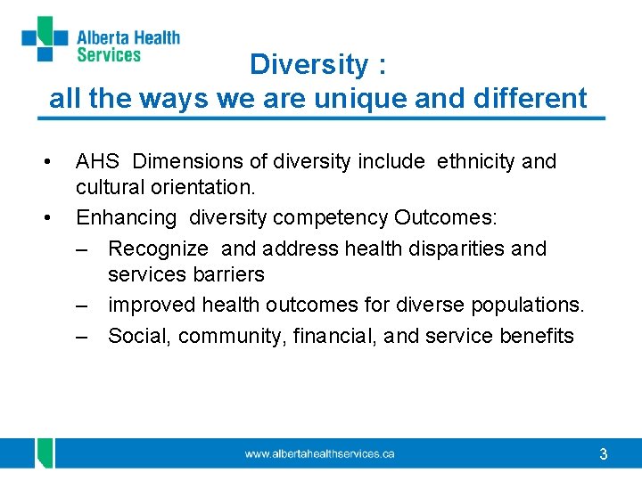 Diversity : all the ways we are unique and different • • AHS Dimensions