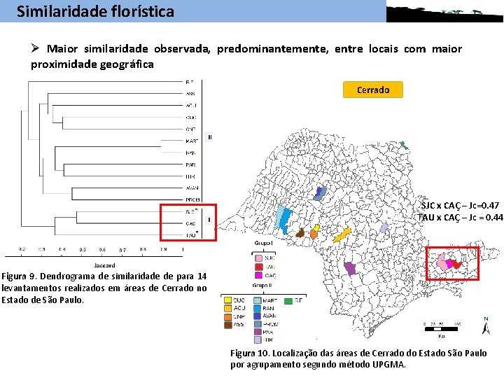 Similaridade florística Ø Maior similaridade observada, predominantemente, entre locais com maior proximidade geográfica Cerrado