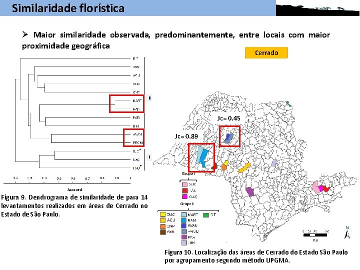 Similaridade florística Ø Maior similaridade observada, predominantemente, entre locais com maior proximidade geográfica Cerrado