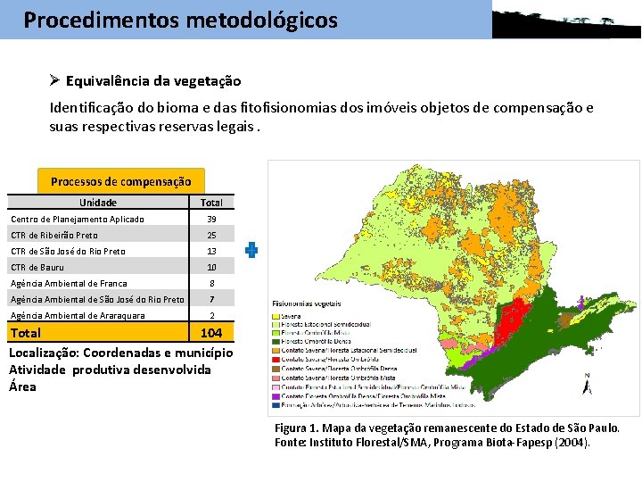 Procedimentos metodológicos Ø Equivalência da vegetação Identificação do bioma e das fitofisionomias dos imóveis