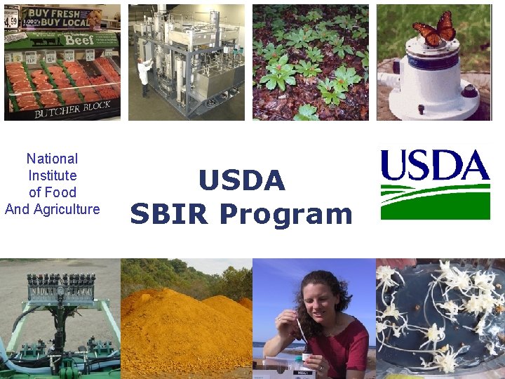 National Institute of Food And Agriculture USDA SBIR Program SBIR 