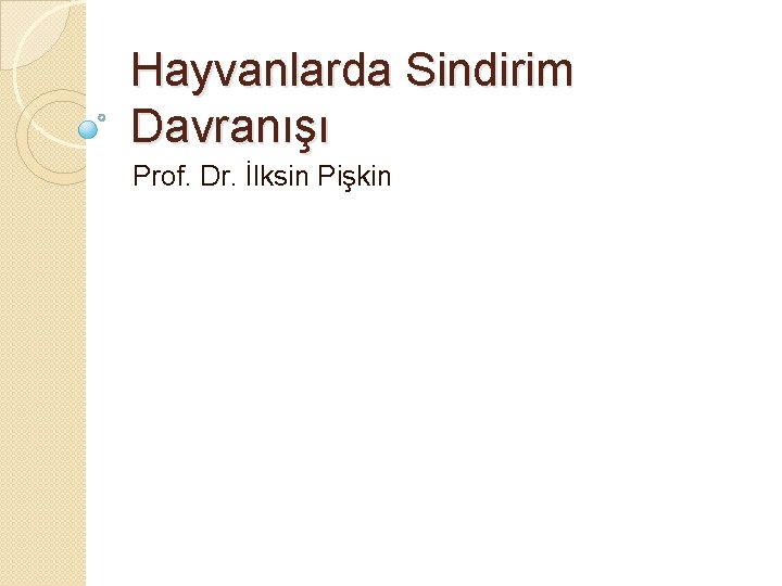 Hayvanlarda Sindirim Davranışı Prof. Dr. İlksin Pişkin 