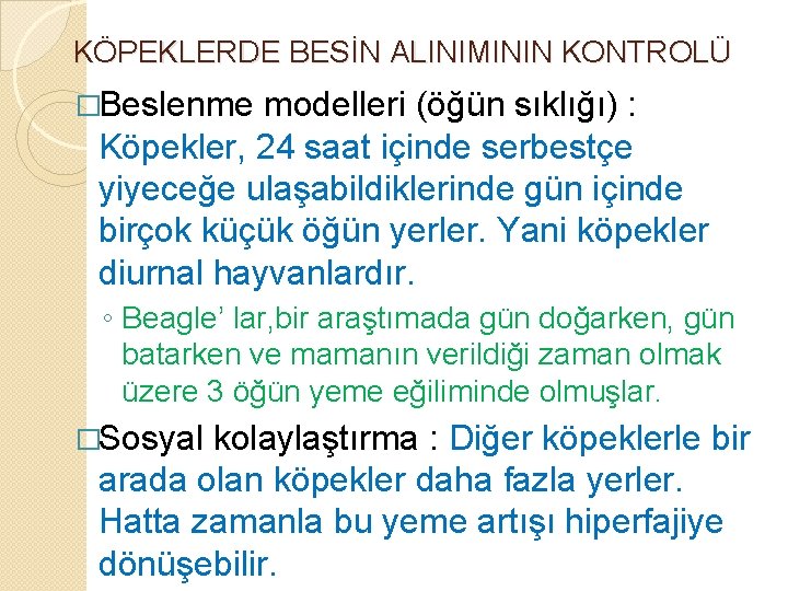KÖPEKLERDE BESİN ALINIMININ KONTROLÜ �Beslenme modelleri (öğün sıklığı) : Köpekler, 24 saat içinde serbestçe