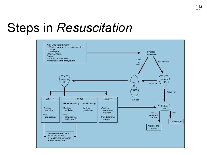 19 Steps in Resuscitation 