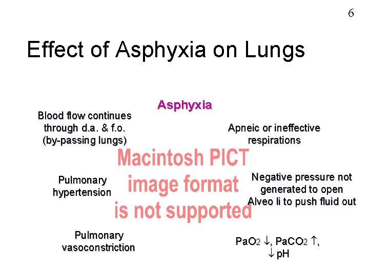 6 Effect of Asphyxia on Lungs Blood flow continues through d. a. & f.