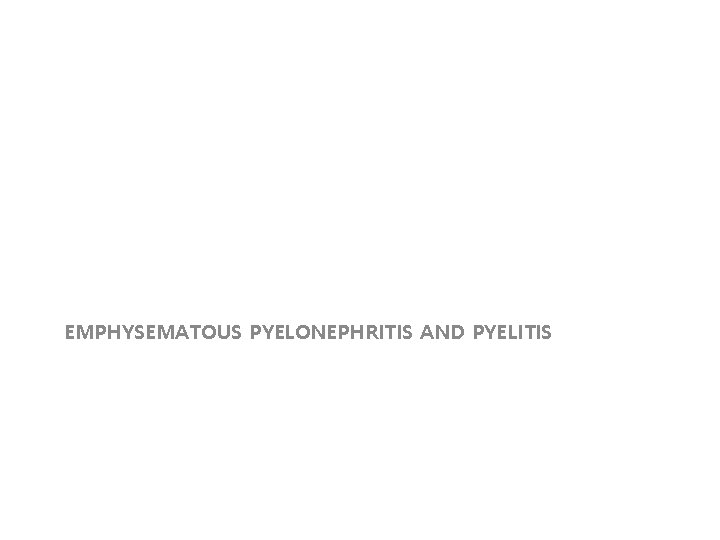 EMPHYSEMATOUS PYELONEPHRITIS AND PYELITIS 