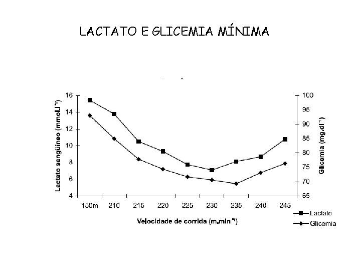 LACTATO E GLICEMIA MÍNIMA 