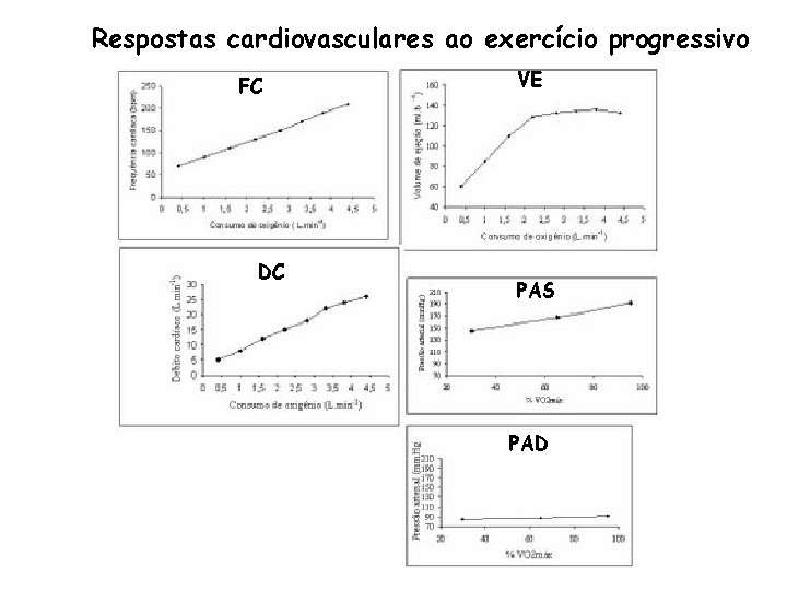 Respostas cardiovasculares ao exercício progressivo FC DC VE PAS PAD 