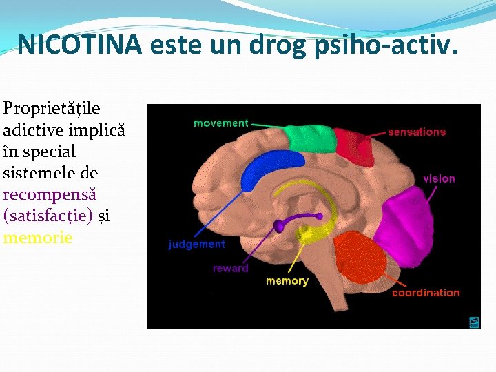 NICOTINA este un drog psiho-activ. Proprietățile adictive implică în special sistemele de recompensă (satisfacție)