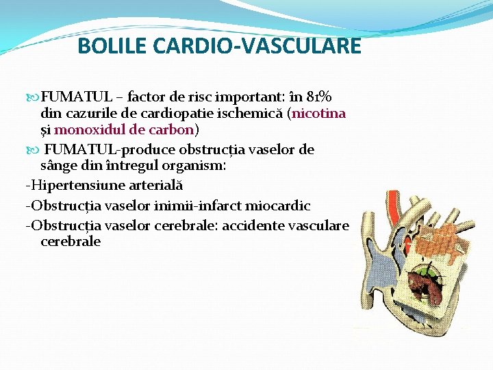 BOLILE CARDIO-VASCULARE FUMATUL – factor de risc important: în 81% din cazurile de cardiopatie