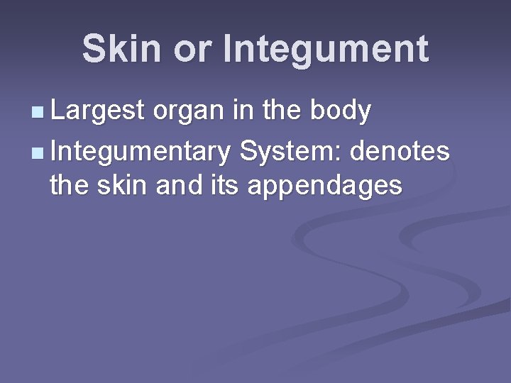 Skin or Integument n Largest organ in the body n Integumentary System: denotes the
