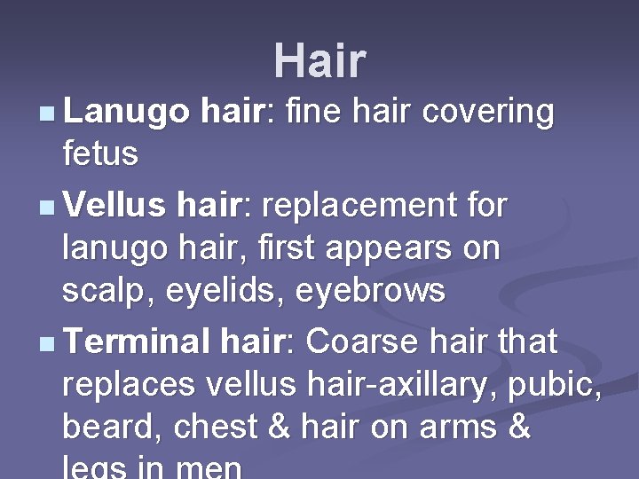 Hair n Lanugo hair: fine hair covering fetus n Vellus hair: replacement for lanugo