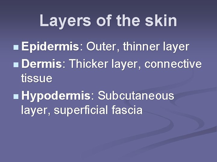 Layers of the skin n Epidermis: Outer, thinner layer n Dermis: Thicker layer, connective
