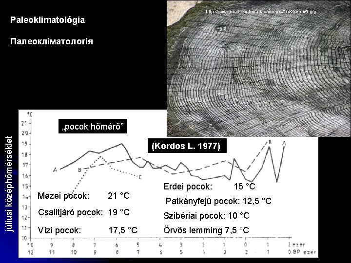 http: //www. mult-kor. hu/attachments/15835/hur 4. jpg Paleoklimatológia Палеокліматологія júliusi középhőmérséklet „pocok hőmérő” (Kordos L.