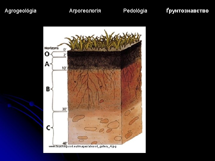 Agrogeológia Агрогеологія www. teaching-soil. eu/images/abcsoil_gallery_4. jpg Pedológia Ґрунтознавство 