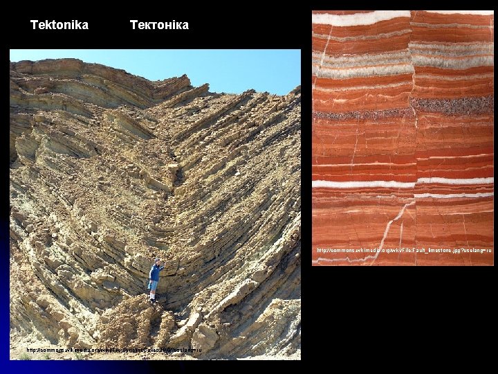 Tektonika Тектоніка http: //commons. wikimedia. org/wiki/File: Fault_limestone. jpg? uselang=ru http: //commons. wikimedia. org/wiki/File: Syncline.