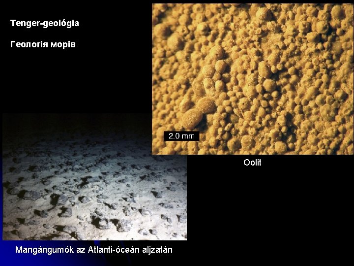 Tenger-geológia Геологія морів Oolit Mangángumók az Atlanti-óceán aljzatán 