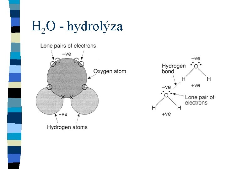 H 2 O - hydrolýza H 2 O - hydrolýza