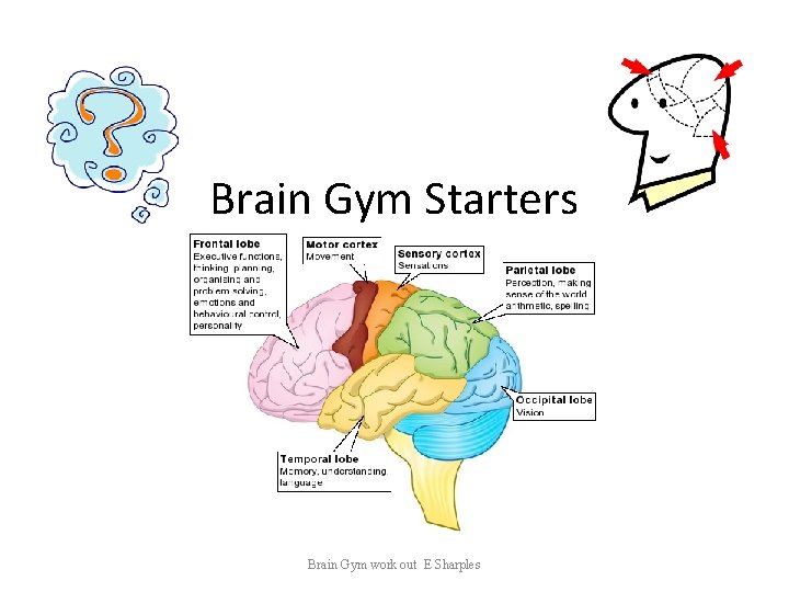 Brain Gym Starters Brain Gym work out E Sharples 