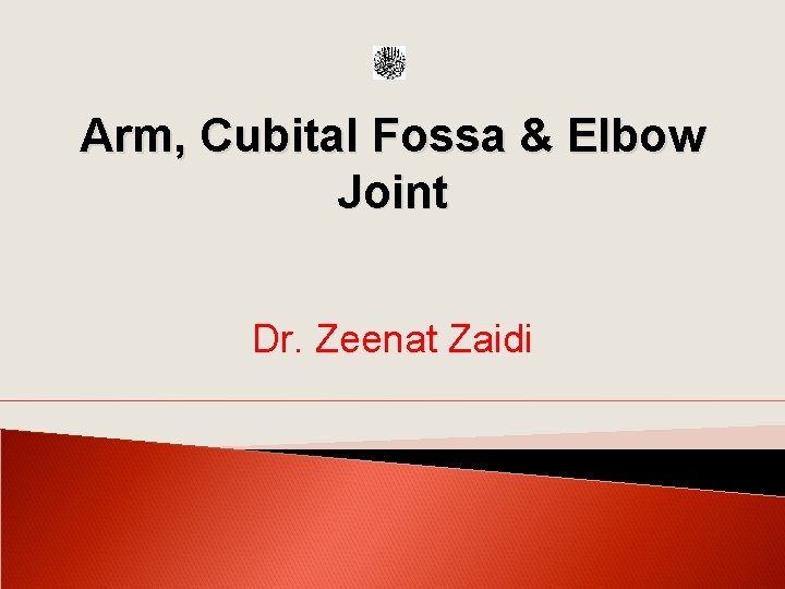 Arm, Cubital Fossa & Elbow Joint Dr. Zeenat Zaidi 