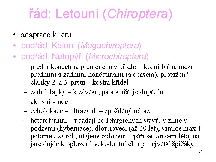 řád: Letouni (Chiroptera) • adaptace k letu • podřád: Kaloni (Megachiroptera) • podřád: Netopýři