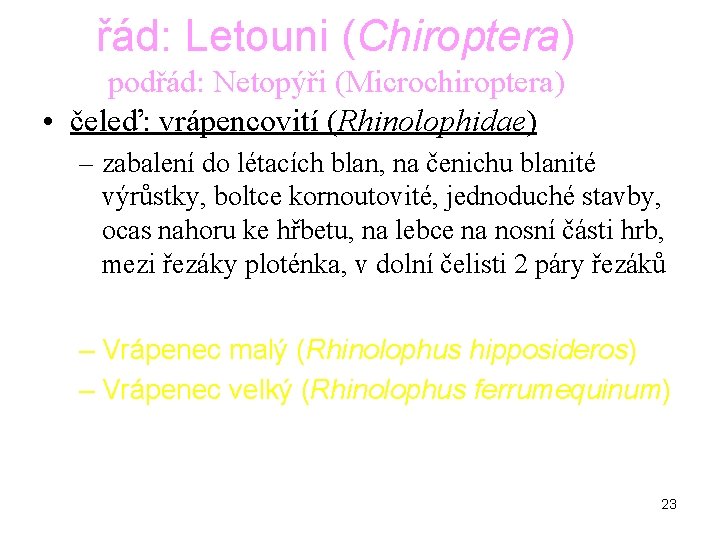 řád: Letouni (Chiroptera) podřád: Netopýři (Microchiroptera) • čeleď: vrápencovití (Rhinolophidae) – zabalení do létacích řád: Letouni (Chiroptera) podřád: Netopýři (Microchiroptera) • čeleď: vrápencovití (Rhinolophidae) – zabalení do létacích