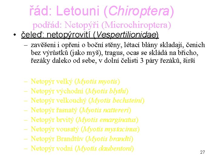 řád: Letouni (Chiroptera) podřád: Netopýři (Microchiroptera) • čeleď: netopýrovití (Vespertilionidae) – zavěšeni i opřeni řád: Letouni (Chiroptera) podřád: Netopýři (Microchiroptera) • čeleď: netopýrovití (Vespertilionidae) – zavěšeni i opřeni