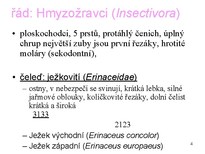 řád: Hmyzožravci (Insectivora) • ploskochodci, 5 prstů, protáhlý čenich, úplný chrup největší zuby jsou