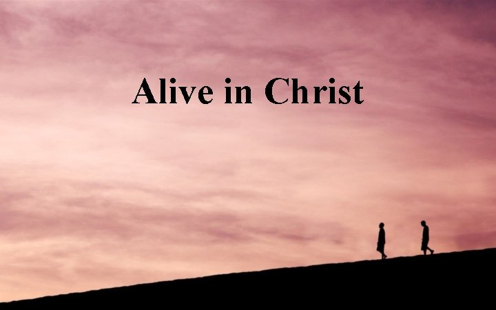 Alive in Christ 