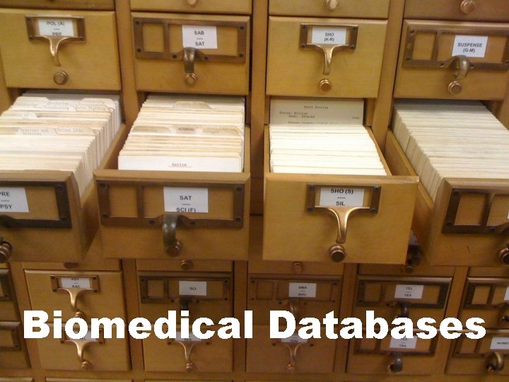 Biomedical Databases 