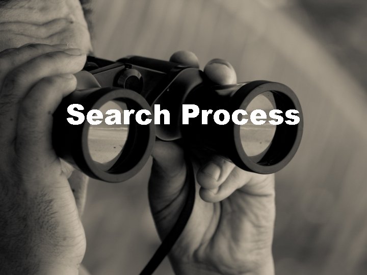 Search Process Search Process